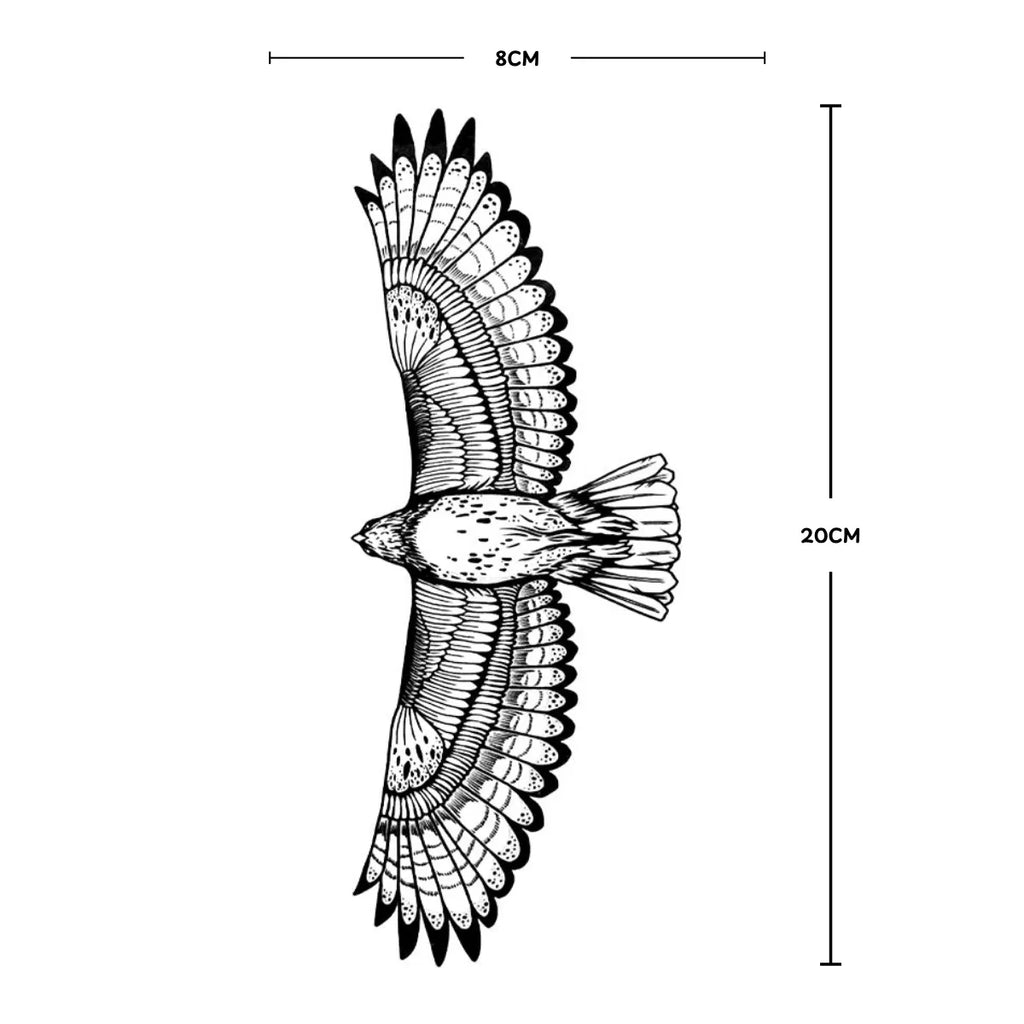 Soar
