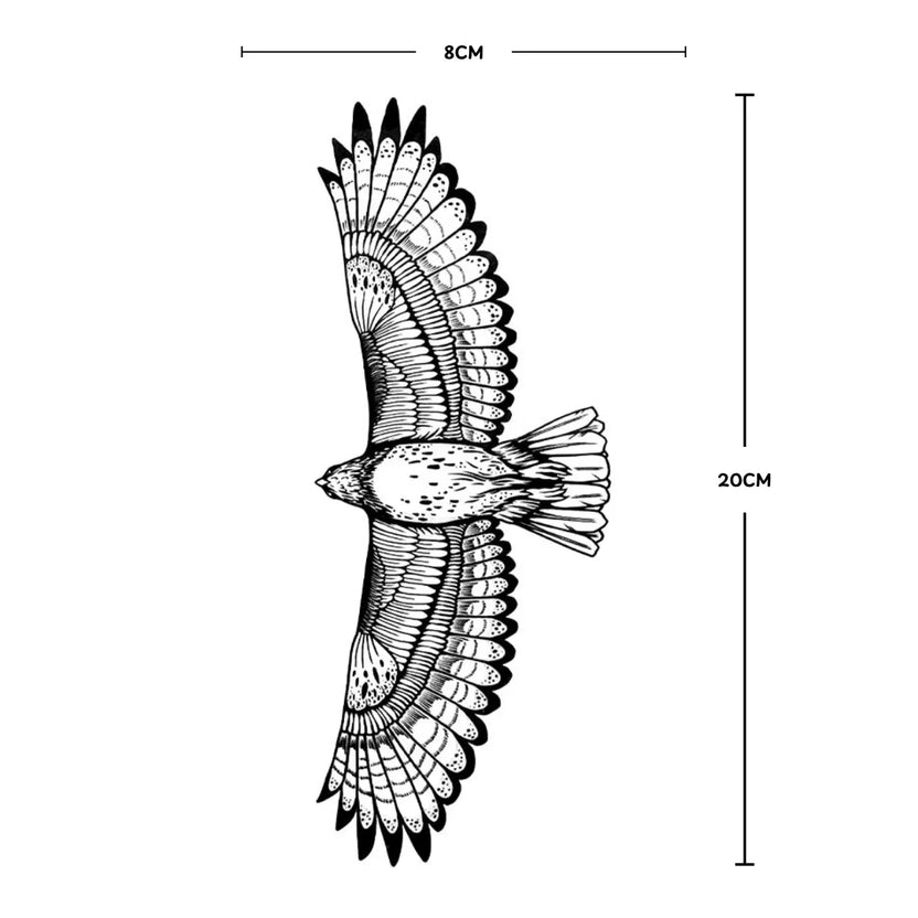 Soar