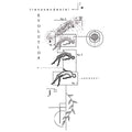 (Özel) Evolution